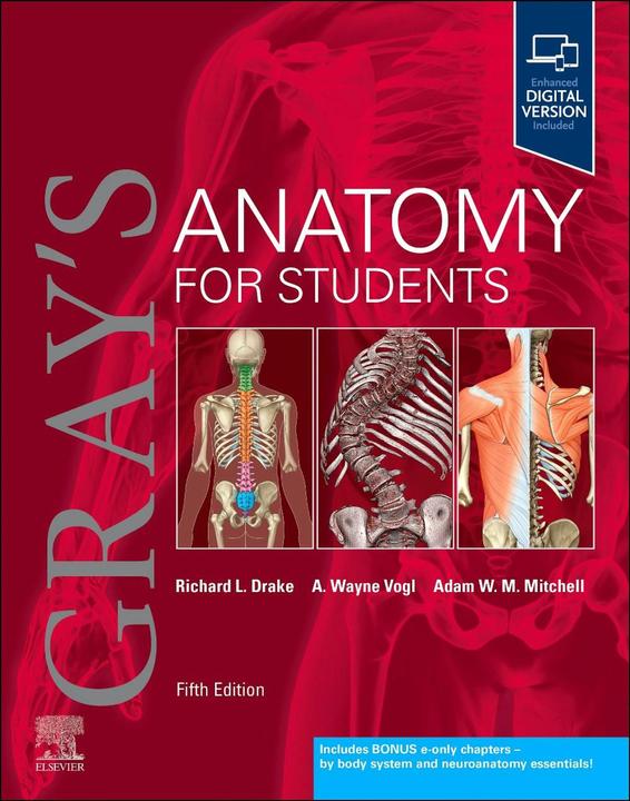 Produktbild Gray's Anatomy for Students (Englisch, Vogl A. Wayne, Adam W. M. Mitchell, Richard L. Drake, A. Wayne Vogl, Mitchell Adam W. M., 2023)
