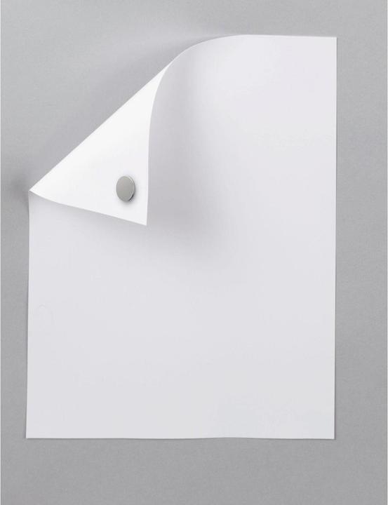 Immagine prodotto Maul Magnete di tenuta al neodimio (20 x)