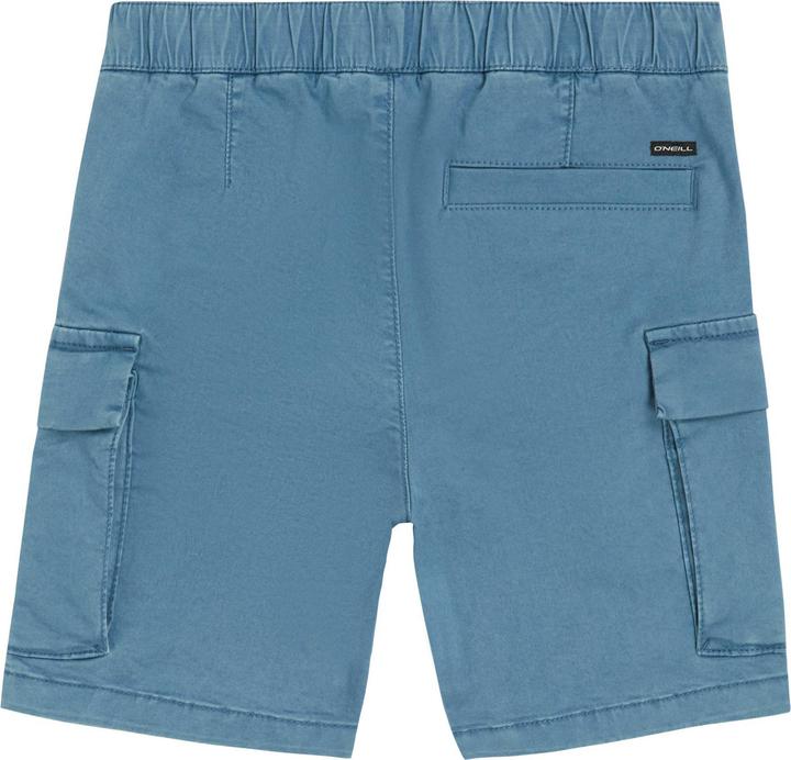 Actual product image O'Neill Cargo Shorts (152)