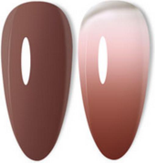 Actual product image Venalisa Ombre Gel PG21 (UV gel varnish)