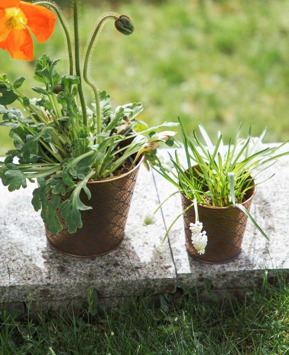 Produktbild Esmée Blumentopf / Übertopf Orient, Blech (11 cm)