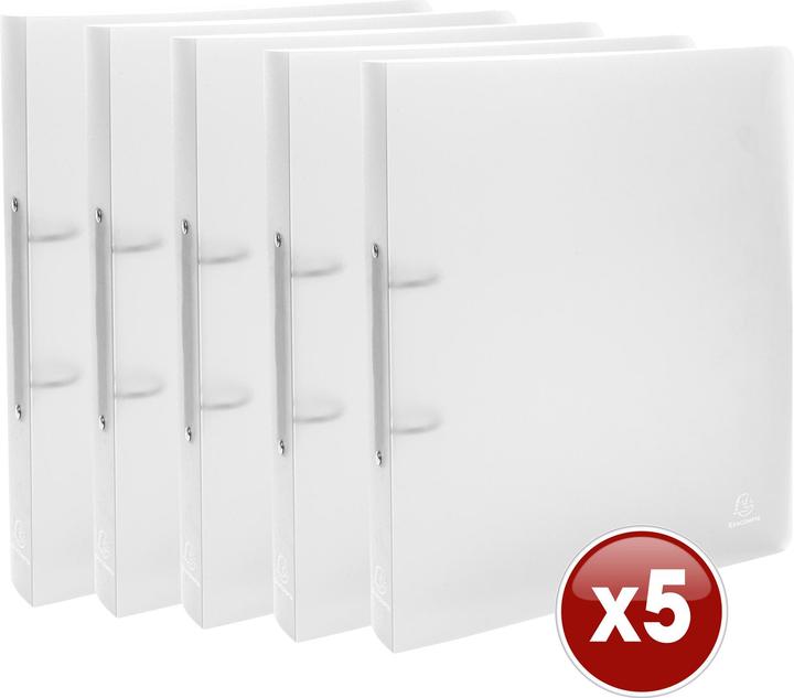 Actual product image Exacompta Ring binders (A4, 40 mm, 1 Piece)