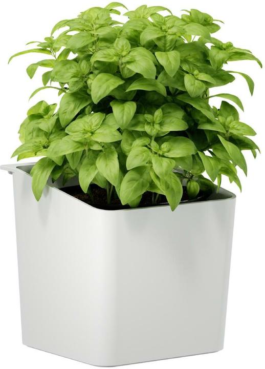 Produktbild tesa Kräutertopf (13.50 cm)