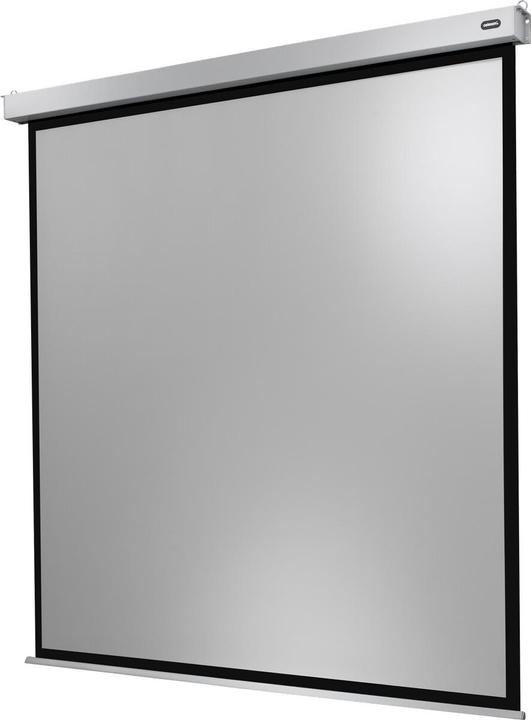 Image du produit Celexon Moteur Professional Plus (133", 1:1)