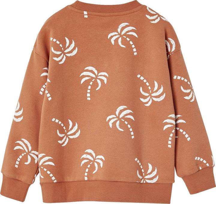 Vertbaudet Jungen Sweatshirt mit Frottee-Motiv und Recycling-Polyester