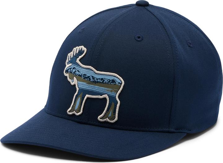Actual product image Columbia Lost Lager 110 Snap Back (One size)
