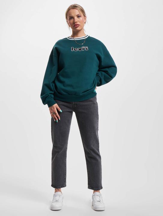 Actual product image Levis Graphic Prism Sweater - 87165 (XXS)