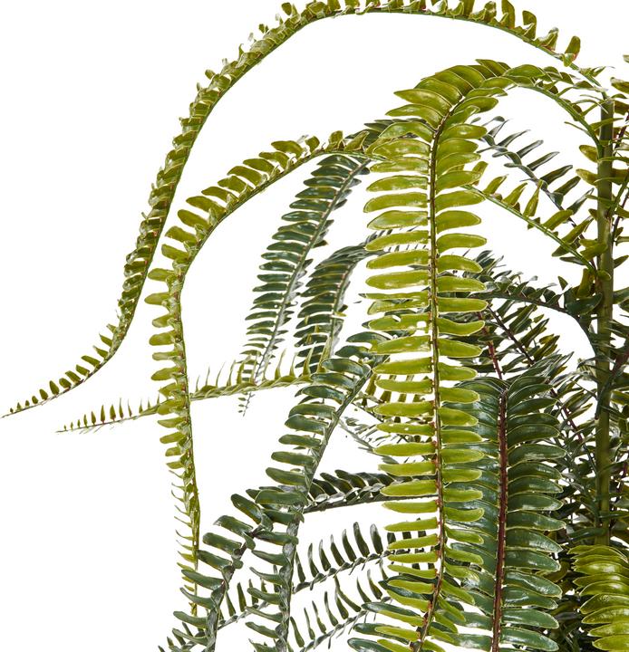 Produktbild Beliani Fern Leaf Plant (105 cm)