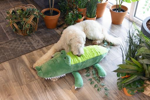 Image du produit Beeztees Hundespielzeug Krokodil