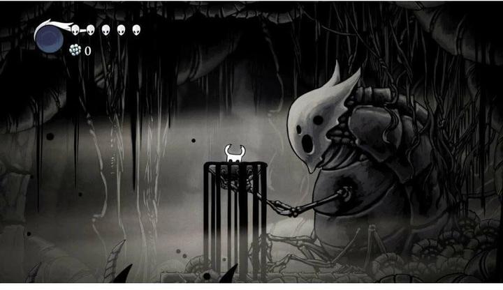 Actual product image Wanadoo Hollow Knight (Switch, EN)