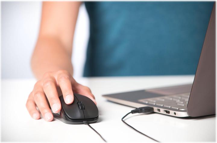 Actual product image Kensington ValuMouse (Cable)