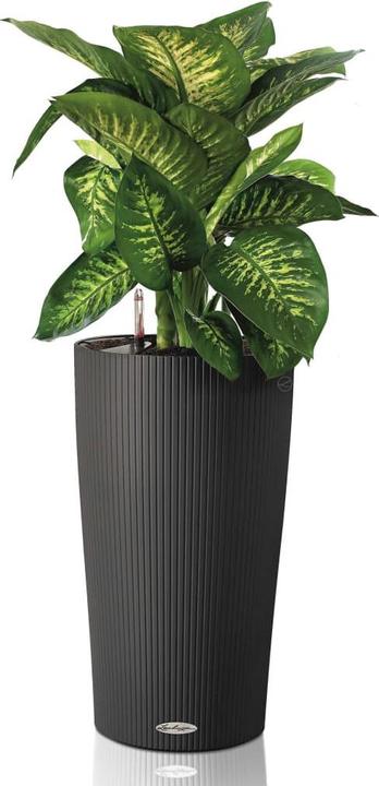 Actual product image Lechuza Cilindro 32 (32 cm)