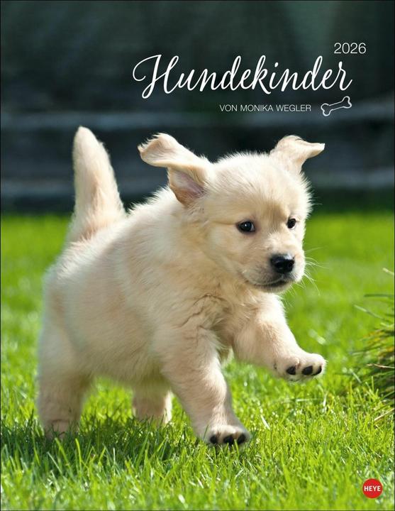 Produktbild Hundekinder Posterkalender 2026 (34 x 44 cm, Harter Einband, Deutsch)