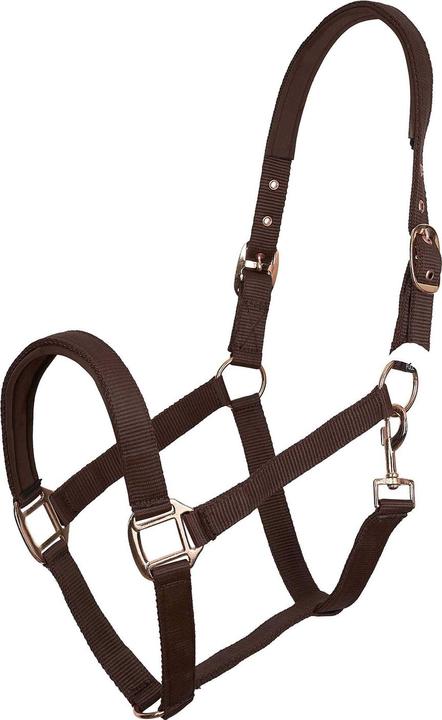 Imperial Riding IRHClassic Sport Horse Headcollar