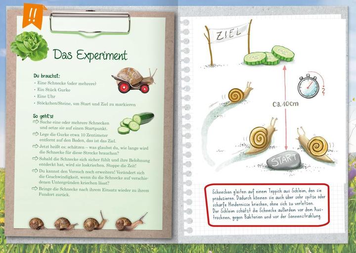 Produktbild Naturforscher-Kids – Mein erstes Naturforscher-Buch (Deutsch, Eva Eich, 2024)