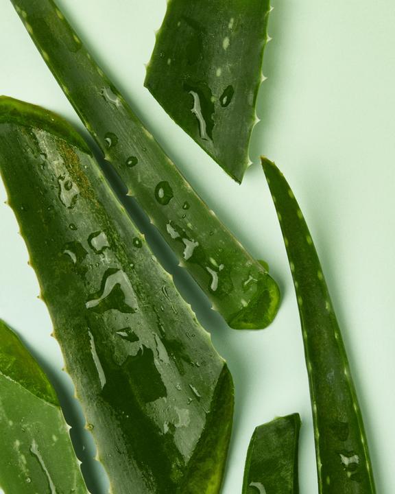 Actual product image NIVEA Aloe Vera (Roll-on, 50 ml)