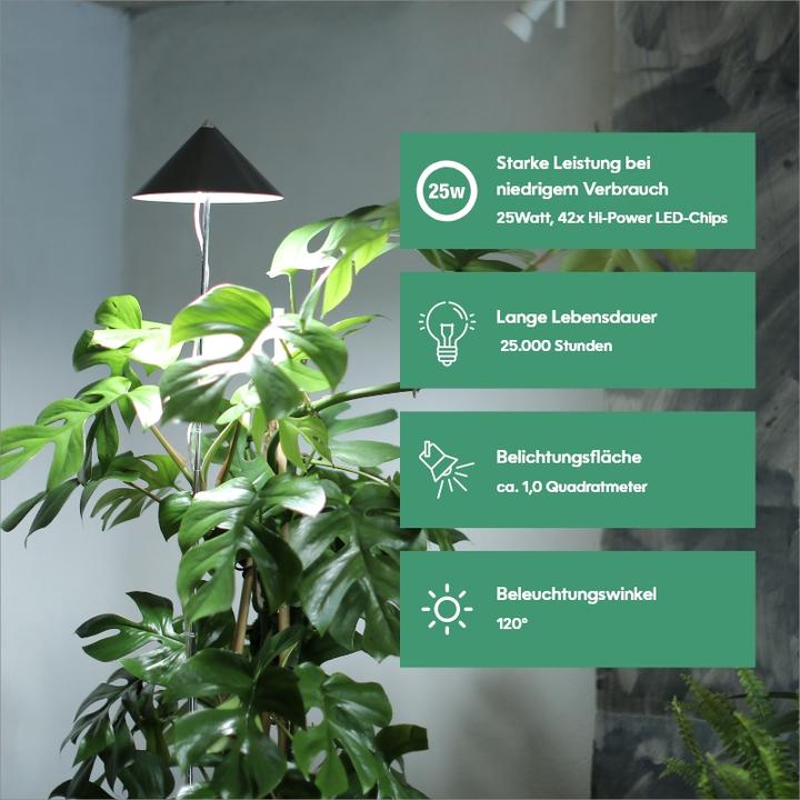 Actual product image Parus by Venso SUNLiTE XL 25 (LED, 230 V)