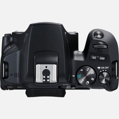 Actual product image Canon EOS 250D (24.10 Mpx, APS-C / DX)