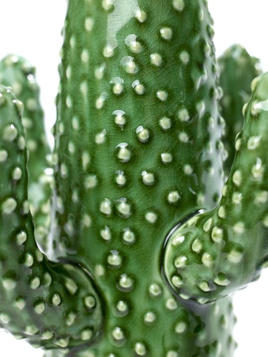 Actual product image Serax Cactus Medium (1 x)