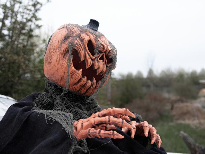 Actual product image Europalms Halloween pumpkin monster