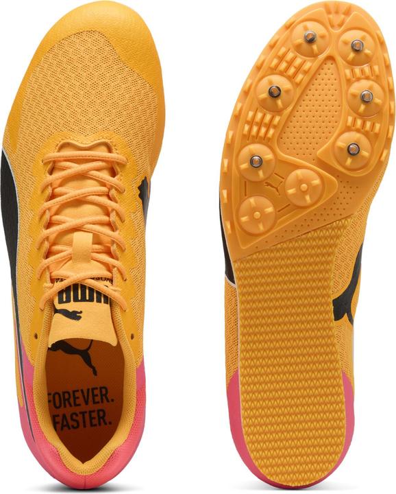 Produktbild Puma evoSPEED Star 9 (38.5)