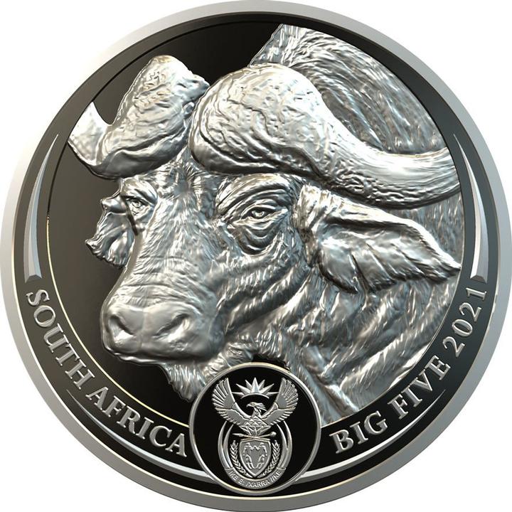 Produktbild South Africa Mint Platin Büffel 1 oz PP - Big Five Südafrika (999.50, 2021)