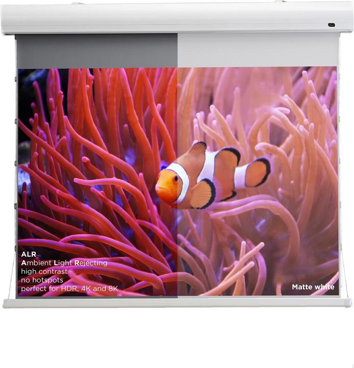 Immagine prodotto Celexon HomeCinema Tension Dynamic Slate ALR (109.65", 16:9)