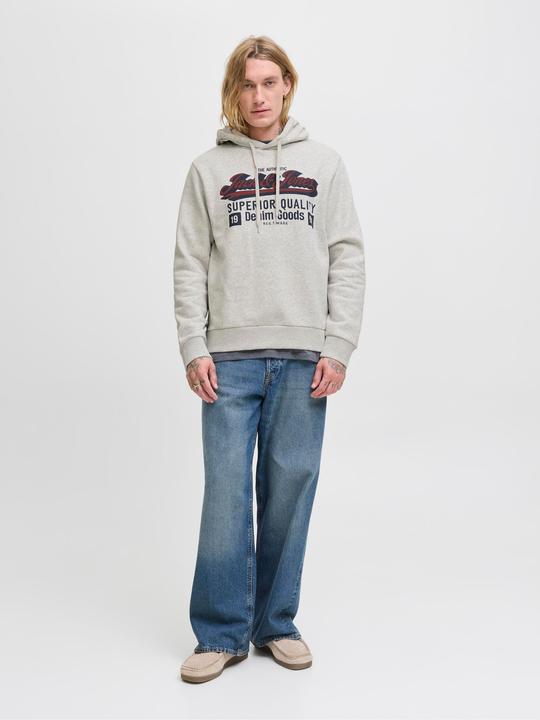 Actual product image Jack & Jones JJELOGO SWEAT HOOD 2 COL 25/26 NOOS (M)