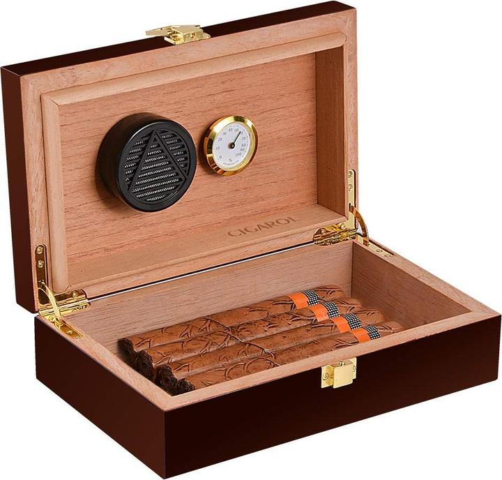 Cigarol Cigar Humidor (10)