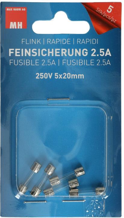 Max Hauri Fusible fin (Microfusible, 2.50 A, Agiles)