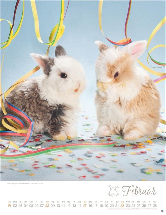 Image du produit Kaninchenkinder Posterkalender 2026 (34 x 44 cm, Couverture rigide, Allemand)