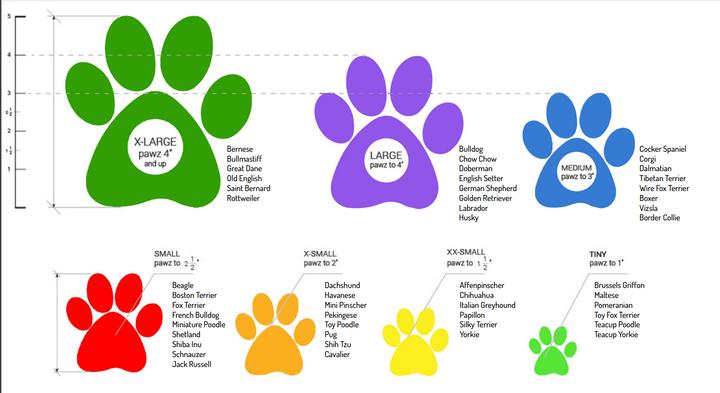 Productafbeelding Pawz Hondenschoen M 7,6cm zwart 12 stuks - (278096) (M, Hondenschoenen)