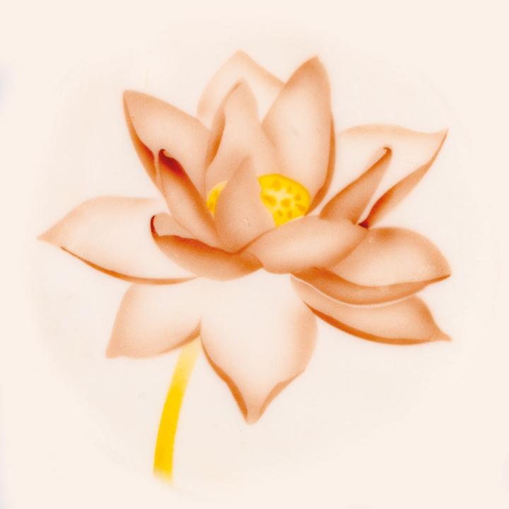 Actual product image Martellato Airbrush stencil lotus flower