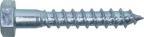 Actual product image Werkstarck Hexagon wood screws DIN 571 (1 Screws per piece)