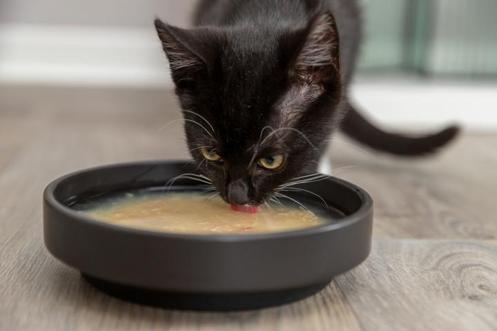 Produktbild Trixie Katzen-Nahrungsergänzung Salmon Soup, Huhn und Lachs, 80 g (Adult, 1 Stk., 80 g)