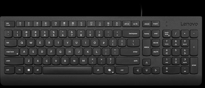 Lenovo Essential Wired Keyboard (CH, Kabelgebunden)