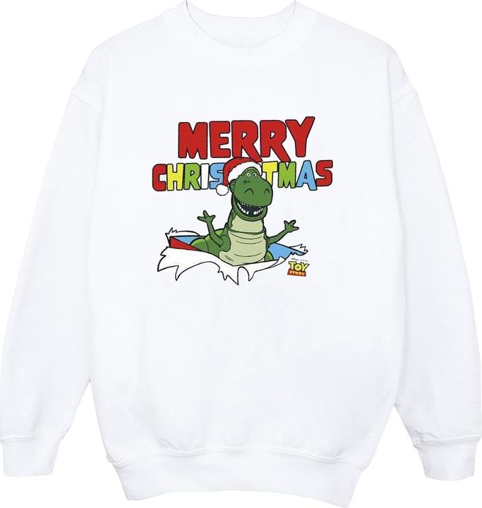 Disney Toy Story Rex Christmas Burst Sweatshirt (XL)