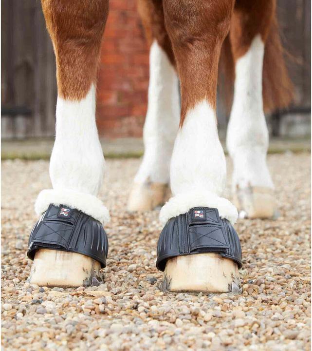 Produktbild Premier Equine Techno