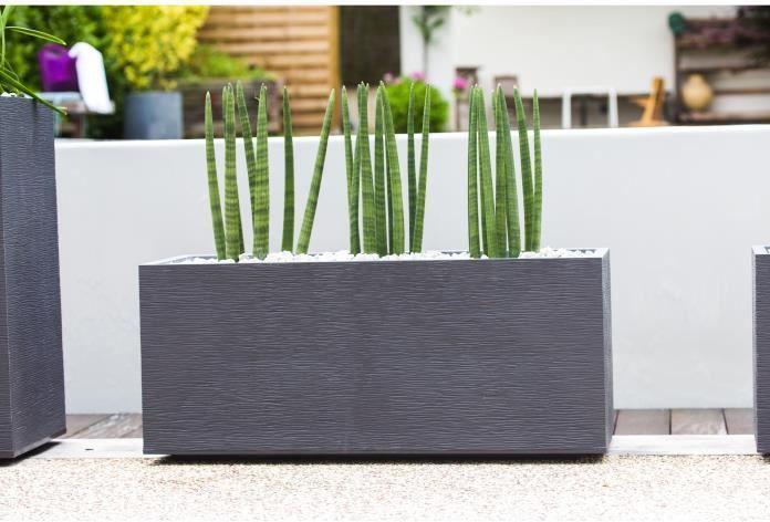 Actual product image Graphite (100 cm)