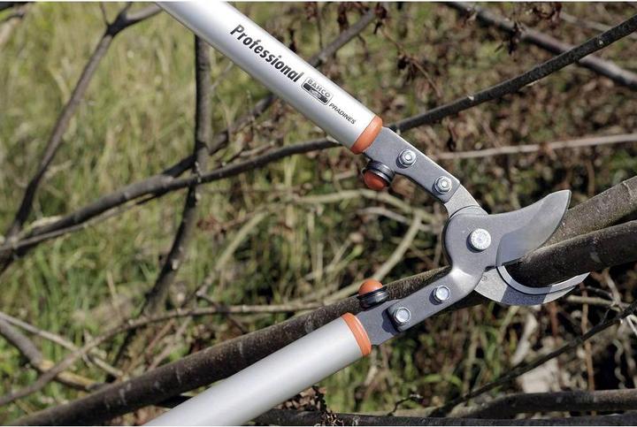 Actual product image Bahco Fruit tree lopping shears, P160-SL-75