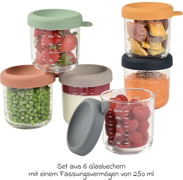 Actual product image Beaba Glass portions 6 pcs. 250ml (Sun mix)