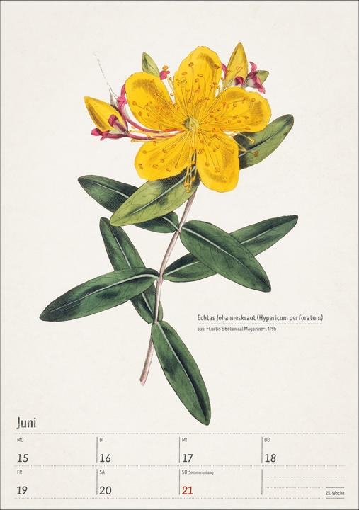 Actual product image Harenberg Bunte Pflanzenwelt Wochenplaner 2026 - 53 historische Illustrationen (Hardcover, German)
