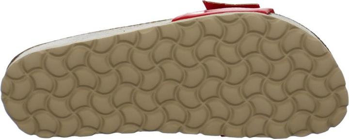 Actual product image Verbenas Reiko (38)