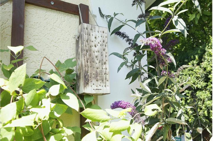 Actual product image Windhager Wild bee wood (Wild bees)