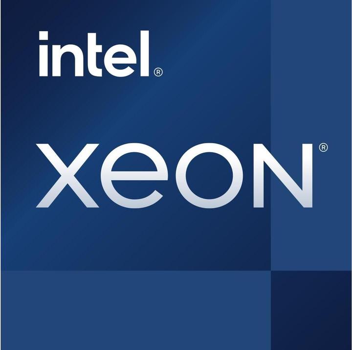 Intel CPU/Xeon E-2456 6 Core 3.3GHz LGA16A (LGA 1700, 3.30 GHz, 6 -Core)