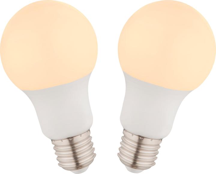Globo Illuminante LED in alluminio 2xE27 LED (E27, 9 W, 810 lm, 2 x, F)