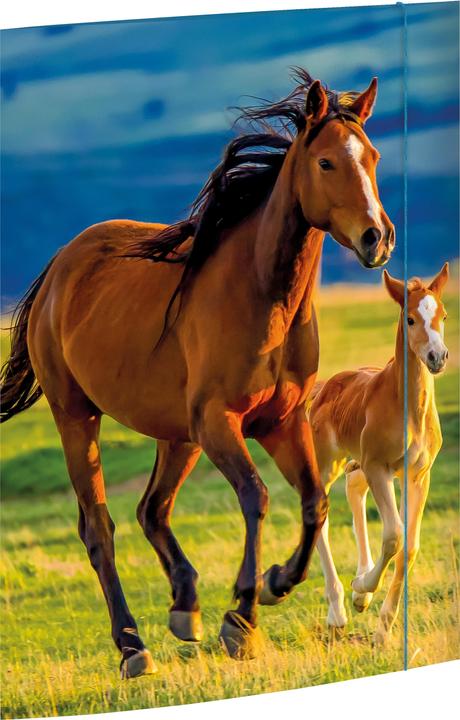 Actual product image Rnk Publisher Drawing Case DIN A3 Horses (A3, 1 x)