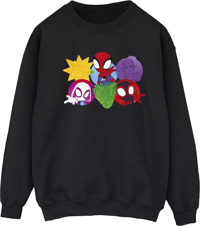 Spidey And His Amazing Friends Faces Sweatshirt (XL)