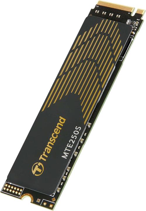 Actual product image Transcend MTE250S (1000 GB, M.2 2280)