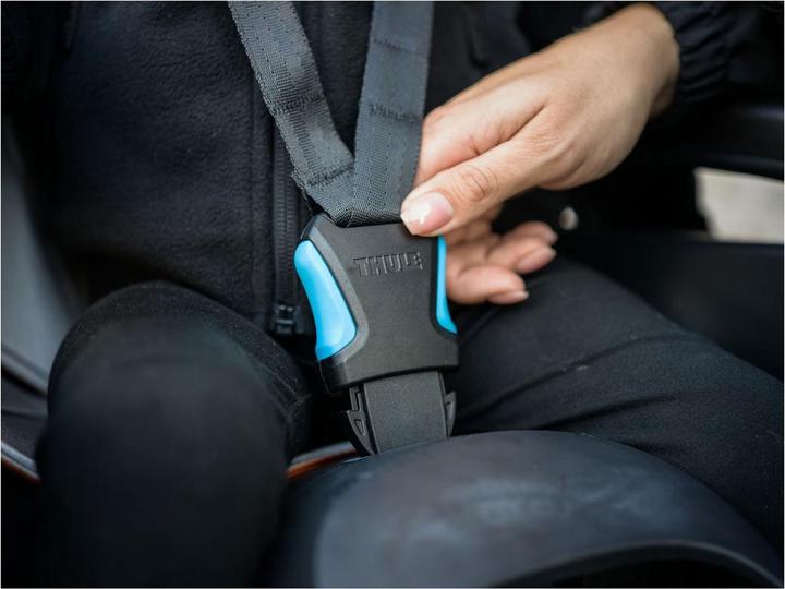 Actual product image Thule Child seat RideAlong 2 (Bike frame)